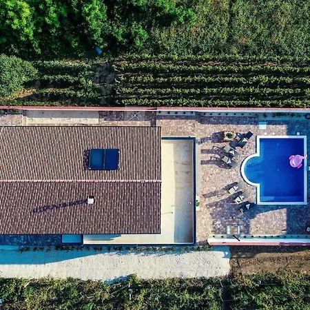 Mery Vila Privlaka (Zadar)